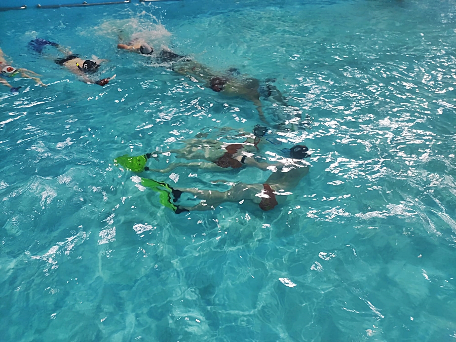 Hokej pod wodą Walenie Siemianowice Śląskie 20 V 2023. Koniec Walenia czyli Amatorska Liga Hokeja Pod Wodą